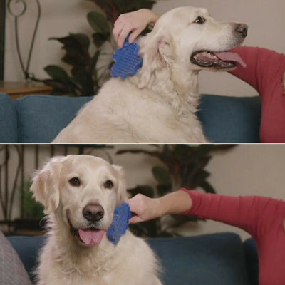 Cepillo Deslanador Suave para Mascotas - Grooming Profesional - Image 4
