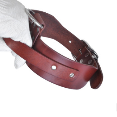Collar Ajustable para Perros Medianos y Grandes
