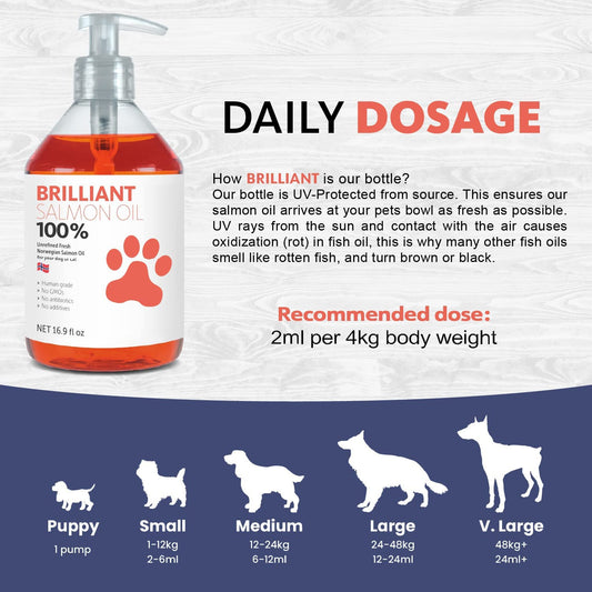 Aceite Premium de Salmón para Perros