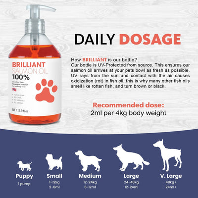 Aceite Premium de Salmón para Perros