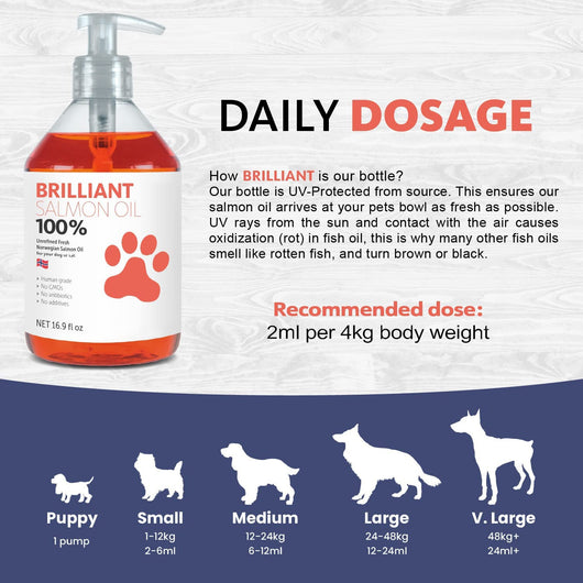 Aceite Premium de Salmón para Perros