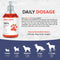 Aceite Premium de Salmón para Perros