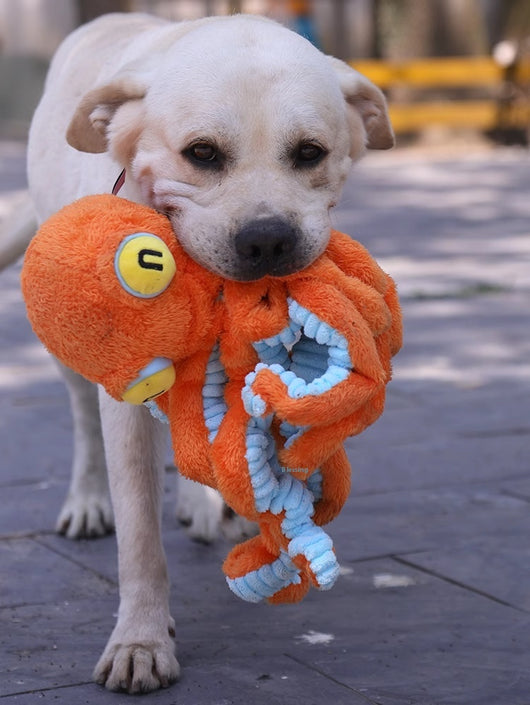 Juguete Interactivo de Tracción para Perros Medianos y Grandes - Image 15