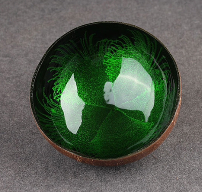 Tazón de Cáscara de Coco Ecológico