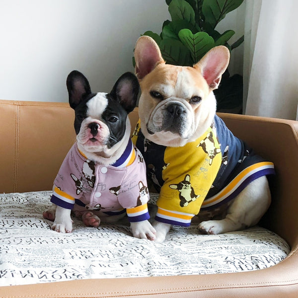 Ropa de Invierno para Perros