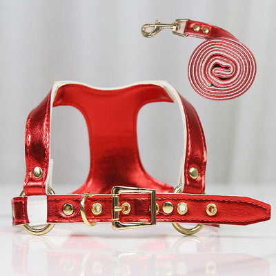 Arnés de Pecho para Perros y Gatos con Correa Ajustable - Image 6
