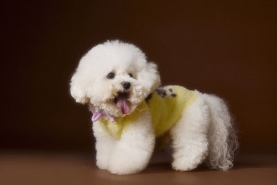 Chaleco Sudadera con Capucha y Estampado de Perrito - Image 27