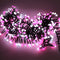 Guirnalda LED Petardos 3 Metros 400 Luces Blanco Frío 30V