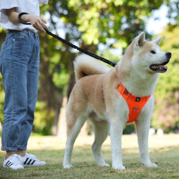 Arnés Deportivo Antiexplosión para Mascotas