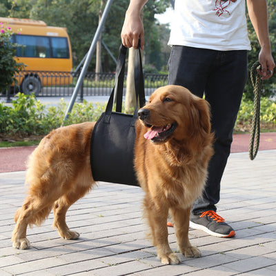 Cinturón Auxiliar para Pasear Perros - Image 3