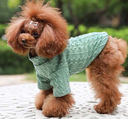 Suéter Tejido para Perro - Colores Puros Otoño Invierno - Image 21