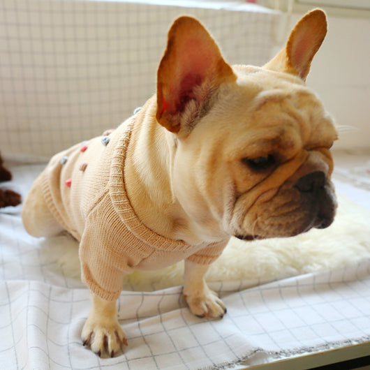 Ropa Térmica para Mascotas - Abrigo Vaca Francesa para Otoño e Invierno - Image 3