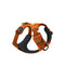 Orange L XL