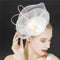 Tocado de Plumas Elegante para Fiestas - Accesorios Princesa Palacio Noble
