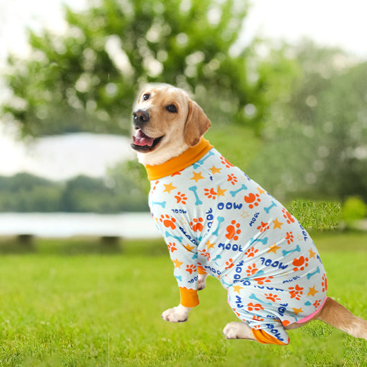 Ropa para Perros con Estampados Adorables - Abrigo de Cuatro Patas - Image 4