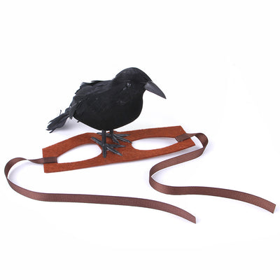 Diadema Decorativa Gato Cuervo - Acceorio Divertido para Mascotas - Image 7