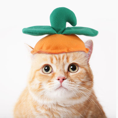 Gorro Rizado Divertido para Mascotas - Disfraz Cómico para Gatos y Perros - Image 22