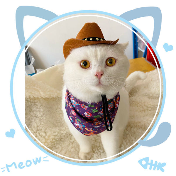 Sombrero Vaquero Británico XINGX para Gatos