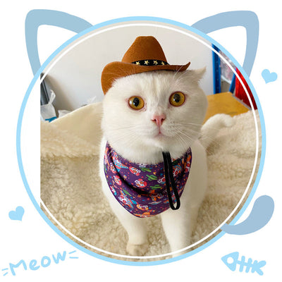 Sombrero Vaquero Británico XINGX para Gatos - Image 2
