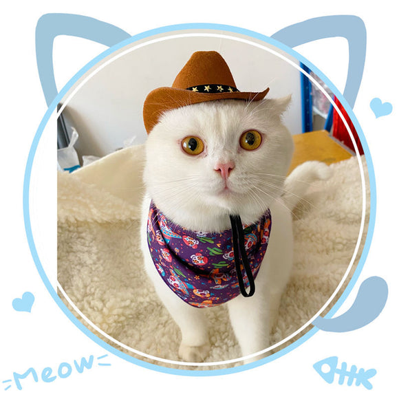 Sombrero Vaquero Británico XINGX para Gatos