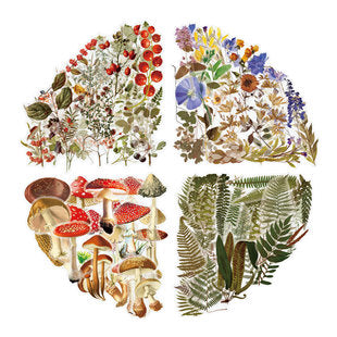Pack de 53 Stickers Vintage para Diarios y Manualidades - Diseños Florales Únicos - Image 8