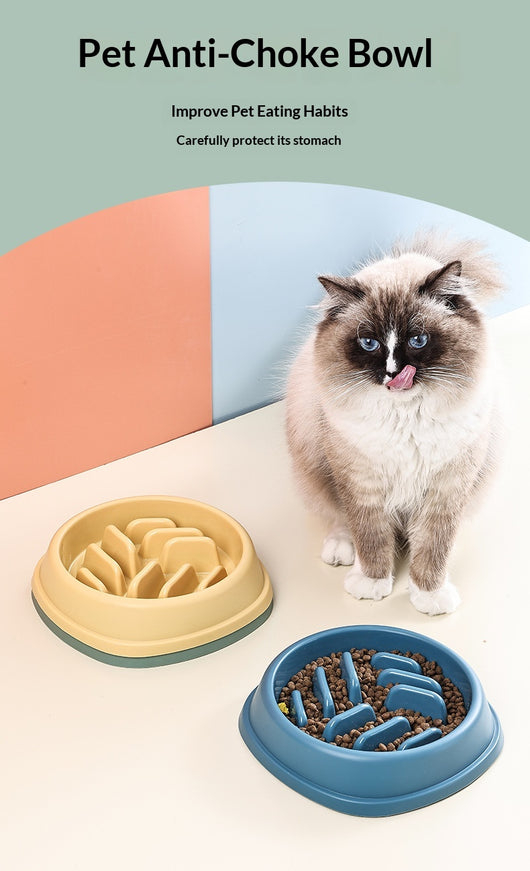 Comedero Lento Antiahogo para Perros y Gatos - Gran Capacidad - Image 12