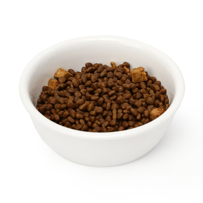 Comedero Elevado de Cerámica para Gatos - Image 9