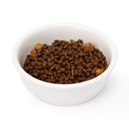 Comedero Elevado de Cerámica para Gatos - Image 9