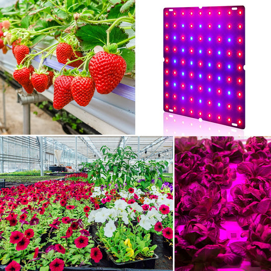 Luz de Cultivo LED para Frutas, Verduras y Melones - Sistema Colgante - Image 8