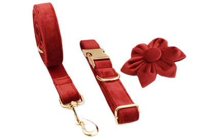 Collar de Tracción Resistente para Perros - Image 21