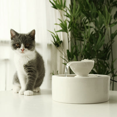 Fuente de Agua Cerámica Inteligente para Gatos con Circulación Continua - Image 5