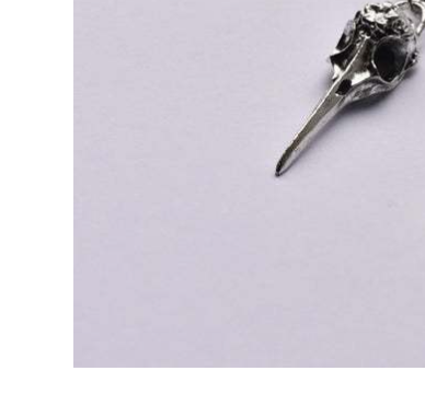 Aretes Góticos con Cráneo de Pájaro y Pentagrama - Image 7