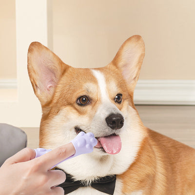 Cepillo de Dientes de Silicona para Mascotas - Limpieza Bucal Profesional - Image 10