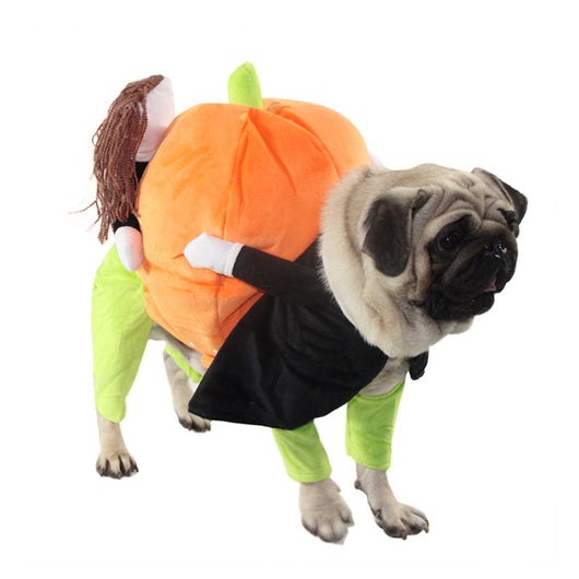 Ropa y Accesorios para Mascotas - Image 6