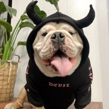 Suéter Polar Disfraz Halloween para Mascotas - Image 11