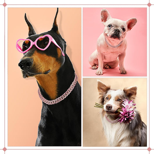 Collar de Cristal para Mascotas - Cadena Metálica Elegante para Perros y Gatos - Image 9