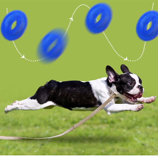 Translucent blue spiky donut-shaped pet toy made of TPR, designed to be bite-resistant and produce sound. - Image 2