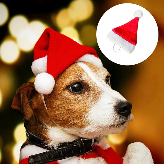 Gorro Navideño de Peluche Premium para Mascotas