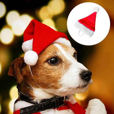 Gorro Navideño de Peluche Premium para Mascotas