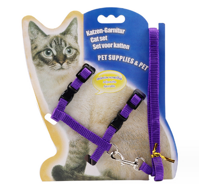 Arnés para Gatos Multicolor - Colección Completa de Accesorios para Mascotas - Image 7