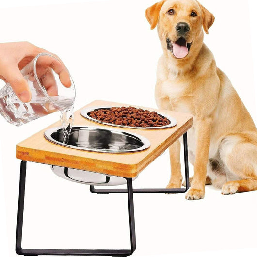 Comedero Elevado Antivuelco de Acero Inoxidable Gran Capacidad para Mascotas - Image 3