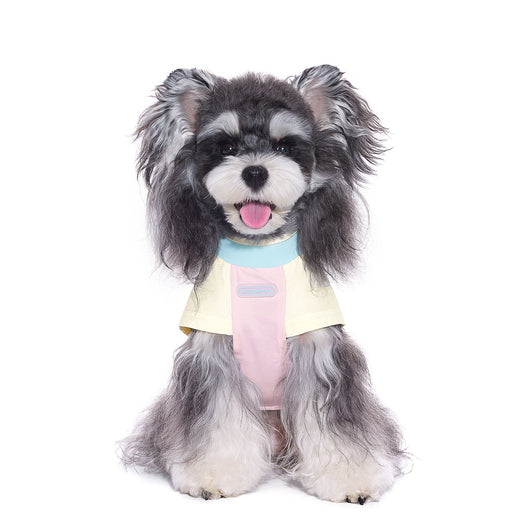 Ropa Fresca para Perros Pequeños Bichón Schnauzer - Image 6