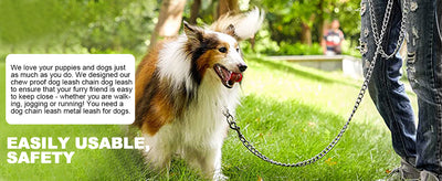 Correa de Cadena Metálica Resistente para Perros Grandes con Mango Acolchado - Image 14