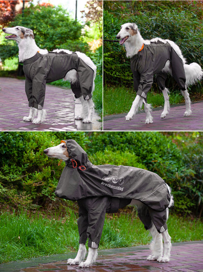Poncho Impermeable para Perros Medianos y Grandes - Image 11