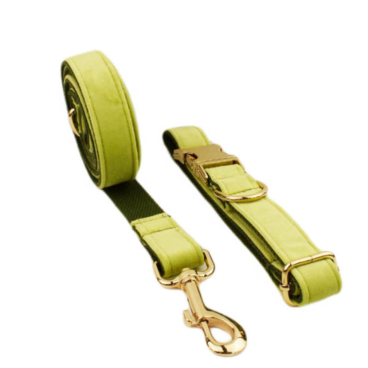 Collar de Mascota Velvet con Cuerda de Tracción - Image 7