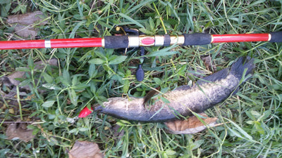 Set Completo de Herramientas para Pesca - Image 5