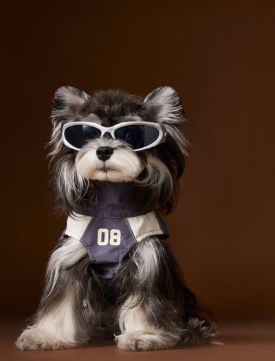 Ropa de Otoño para Perros Pequeños - Abrigos para Schnauzer, Teddy y York - Image 13