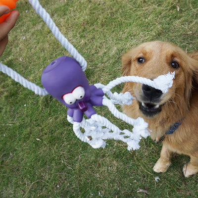 Juguete de Cuerda de Cáñamo Resistente a Mordidas con Pelota Masajeadora para Cachorros - Image 6