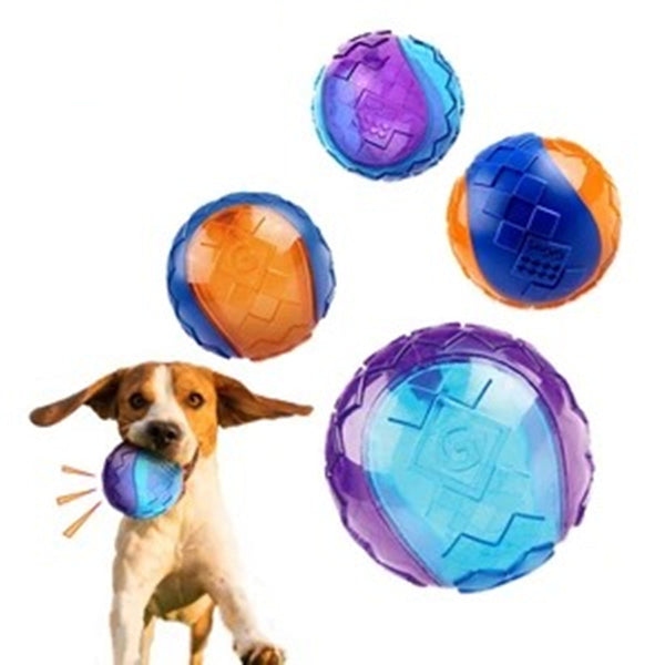 Pelota de Goma Masticable