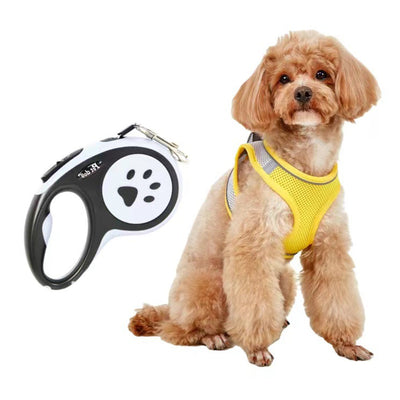 Small light brown poodle wearing an orange mesh dog vest harness with reflective trim and a retractable leash. - Image 19